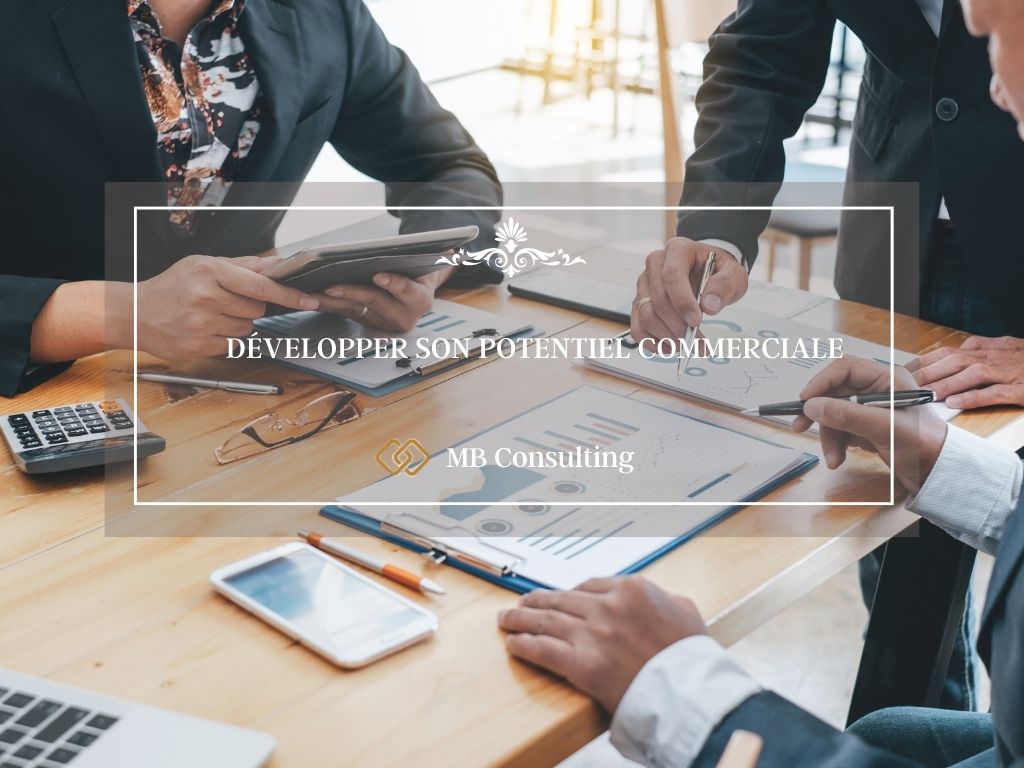 DÉVELOPPER SON POTENTIEL COMMERCIALE pour tpe