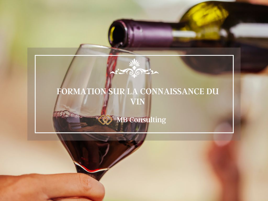 FORMATION SUR LA CONNAISSANCE DU VIN