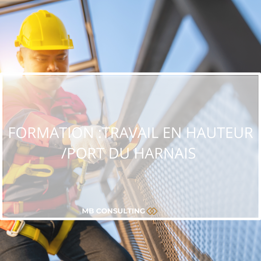 TRAVAIL EN HAUTEUR /PORT DU HARNAIS